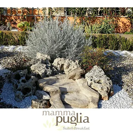 Mamma Puglia & Breakfast סנטרמו אין קולה