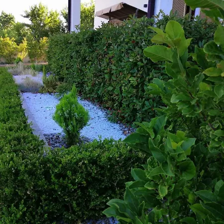 Mamma Puglia & Breakfast לינה וארוחת בוקר 4*